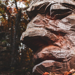 Mit der Familie auf der Alpe Cimbra