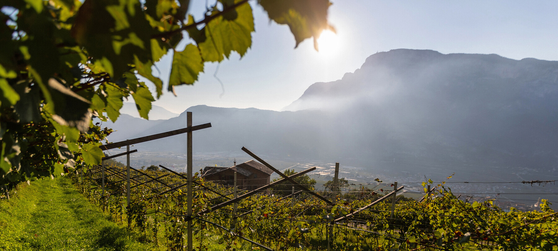 Auf der Weinstraße zu den Bauernhöfen des Trentino