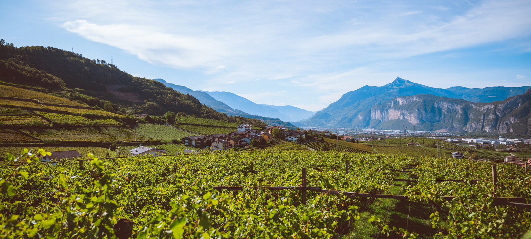Wein-Trekking im Trentino
