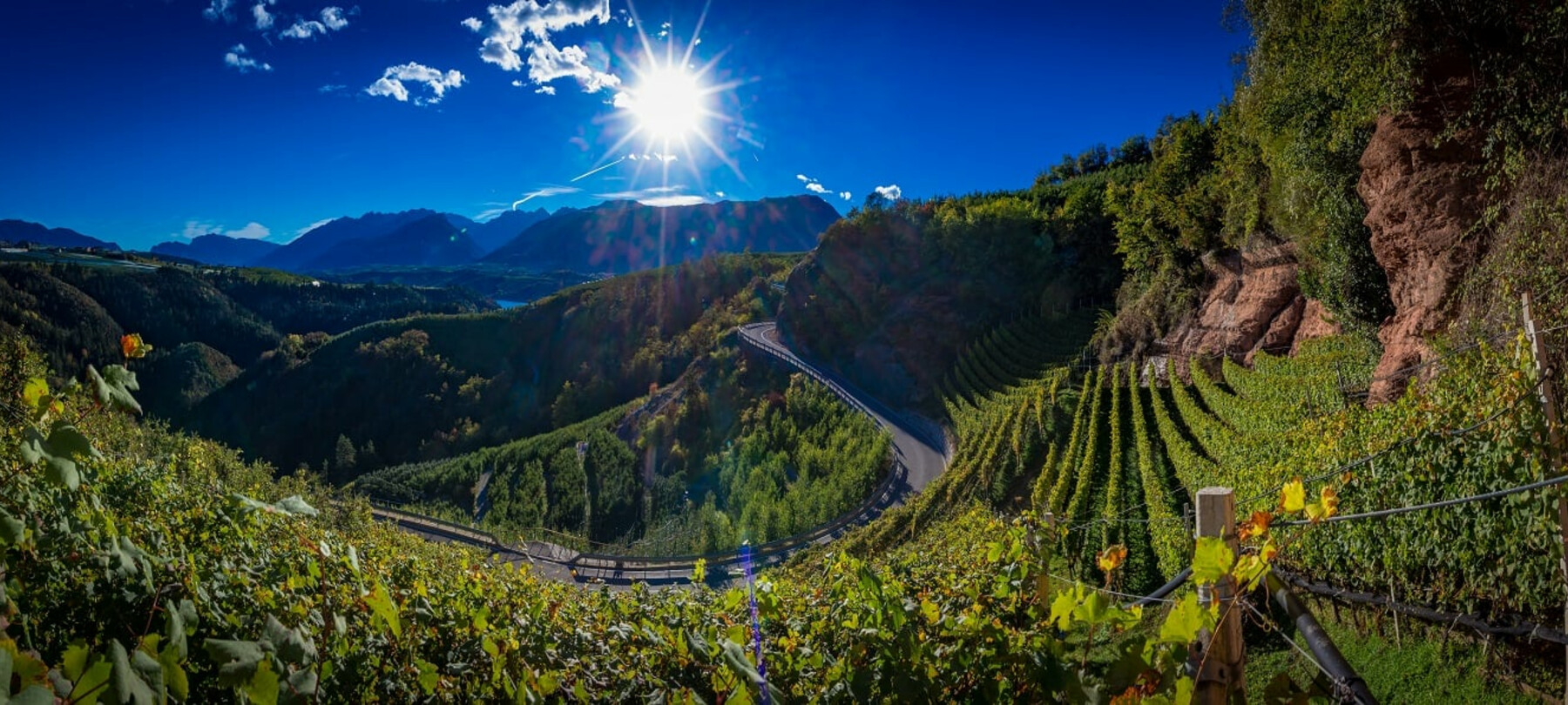 Wine trekking in Trentino