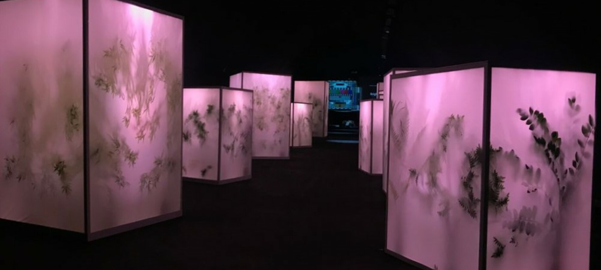 Attraverso la storia