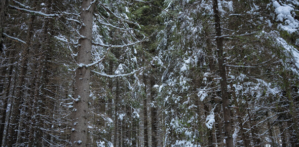 La neve che ti sorprende