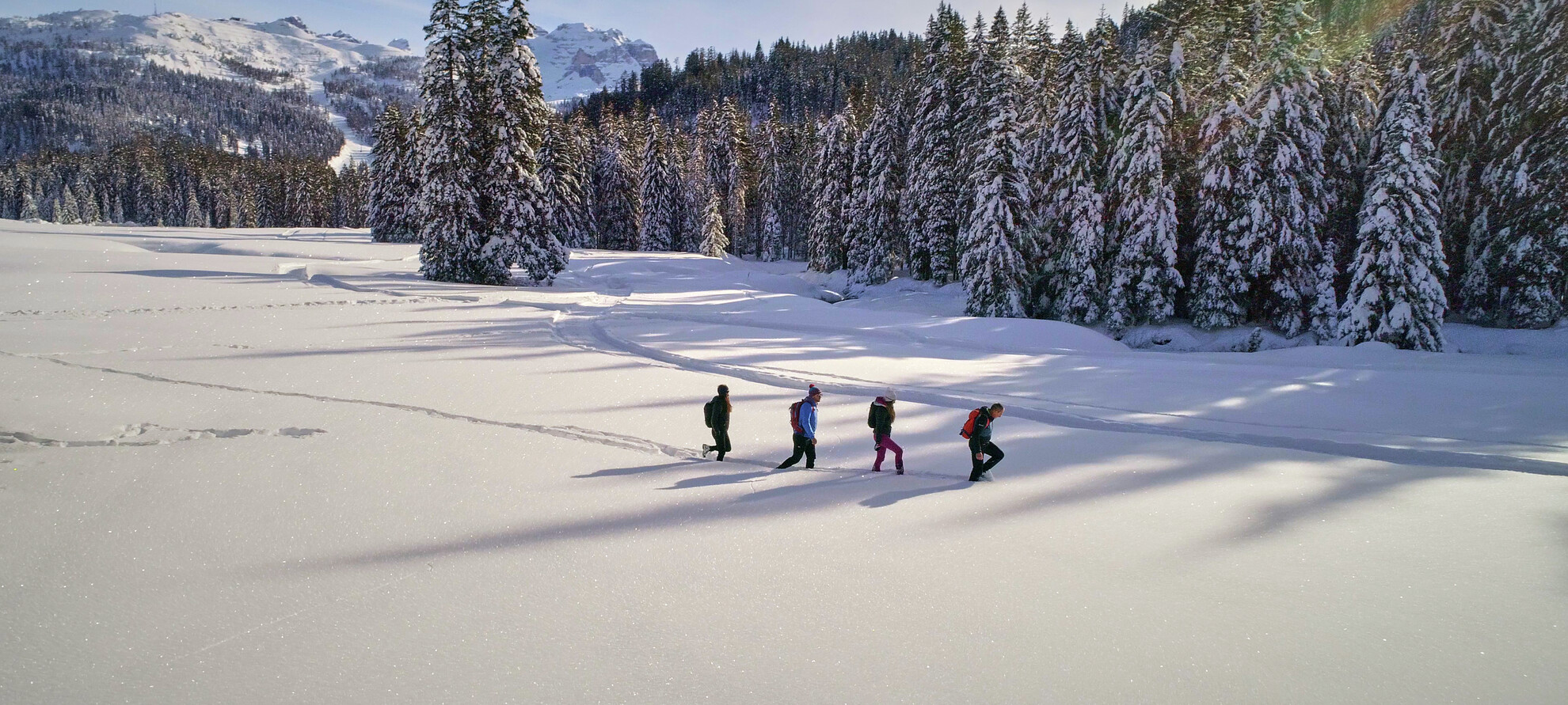 Dolomiti Natural Wellness Winter Edition