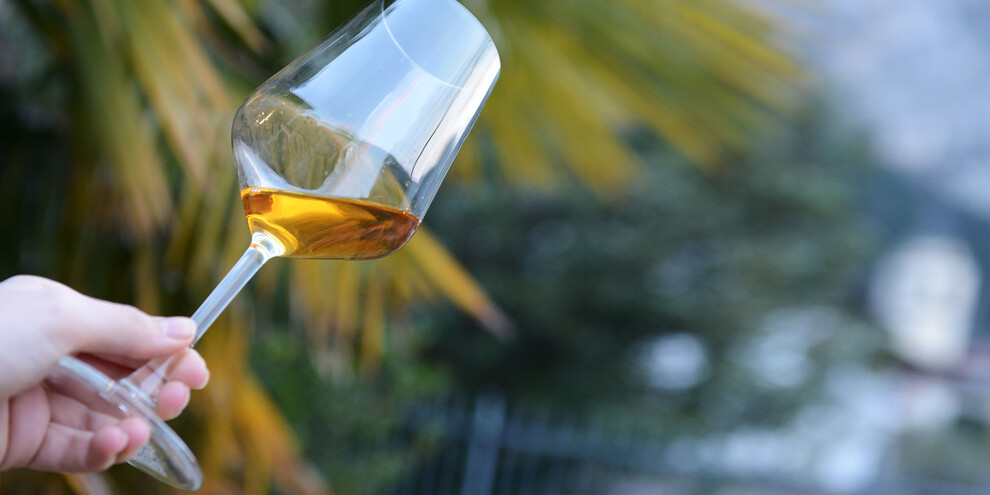 Trentino wine and food Route