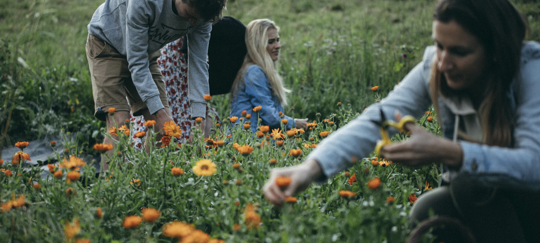 Storie dal Trentino: Maddalena Zanoni