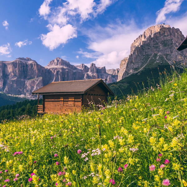 10 Gründe, warum Sie im Frühling ins Trentino reisen sollten