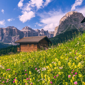 10 Gründe, warum Sie im Frühling ins Trentino reisen sollten