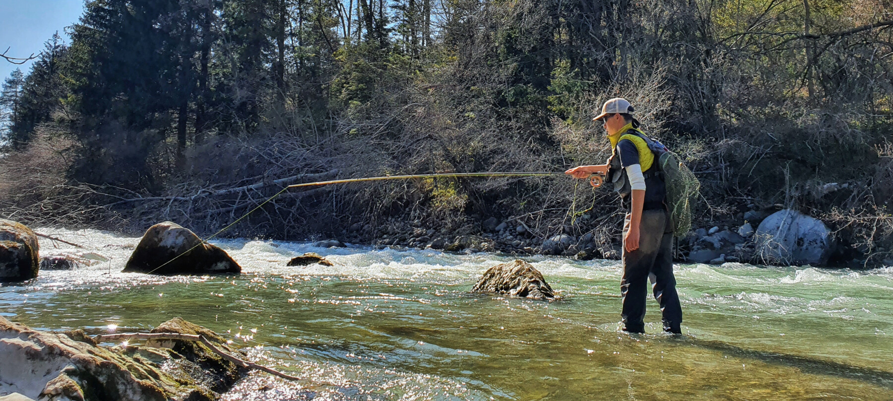 Pesce Temolo: Guida Alla Sua Pesca in Trentino