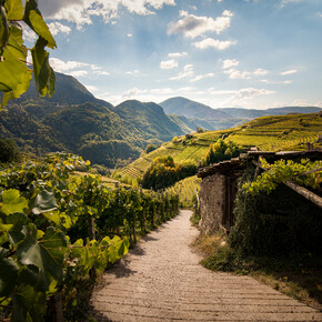 Primavera in Val di Cembra