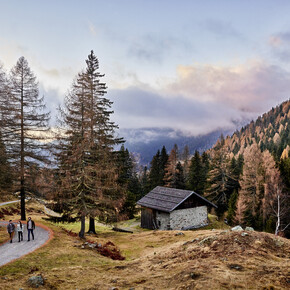 V jakém jazyce sníš?