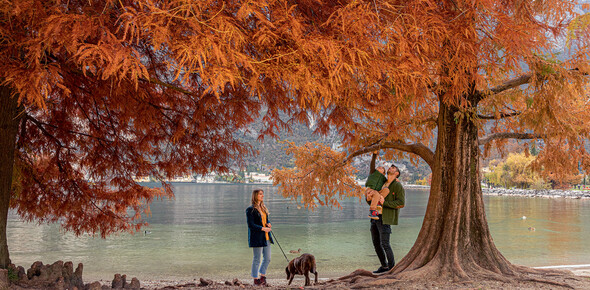 Рива-дель-Гарда