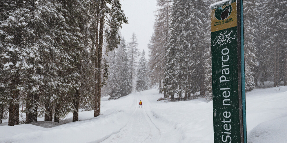 Wandern im Naturpark Adamello-Brenta  | © Simone Mondino