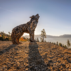 Lupa Lagorai | © Dejan Bilic - Apt Valsugana
