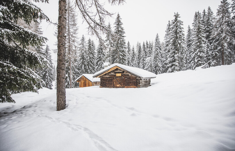 Wählen Sie Ihr Chalet