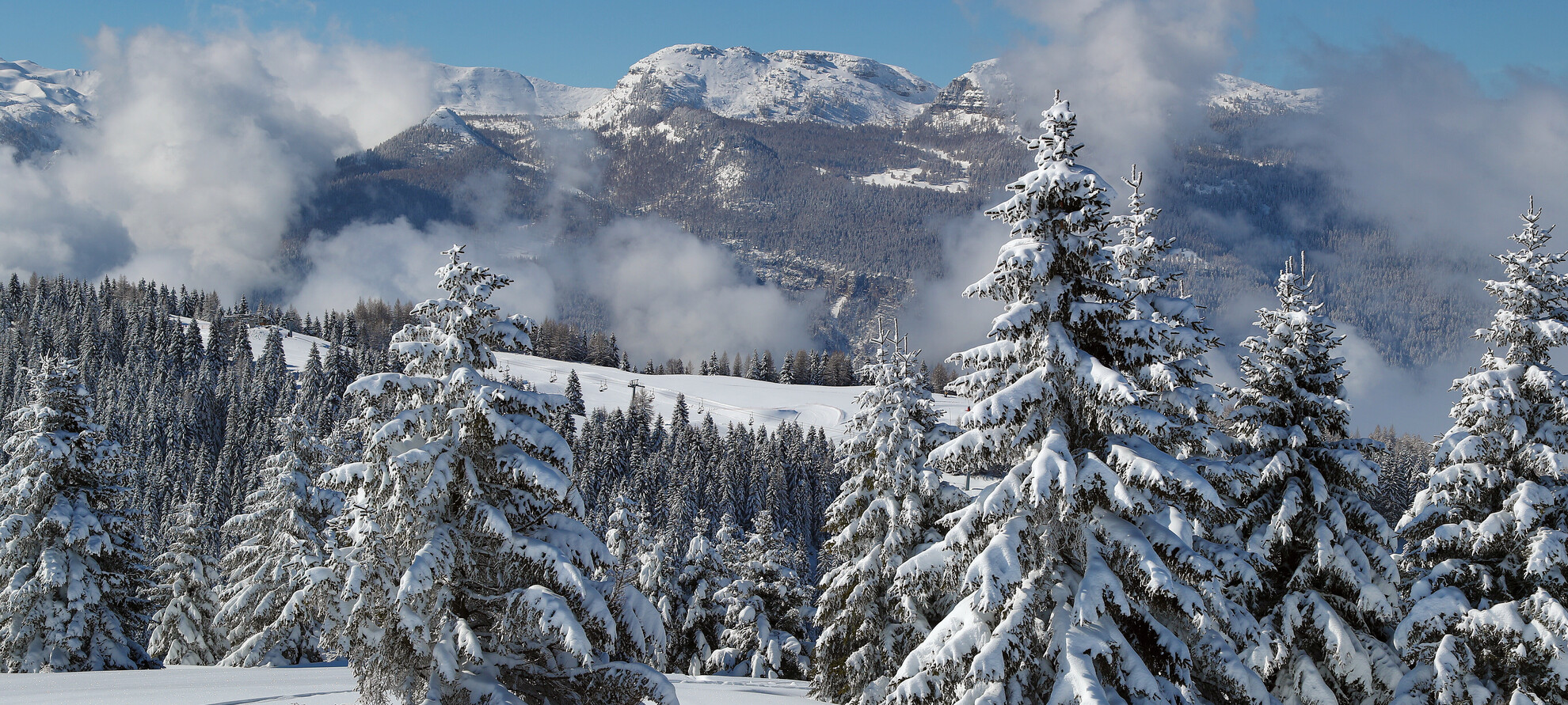 Alpe Cimbra - Bosco innevato | © Arturo Cuel