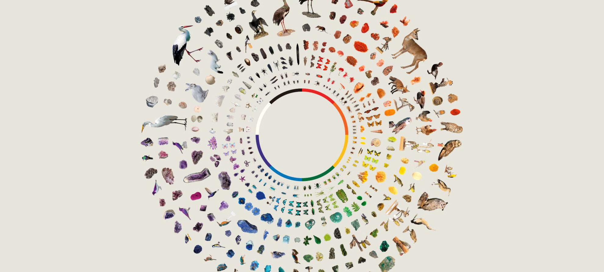 Al Palazzo delle Albere