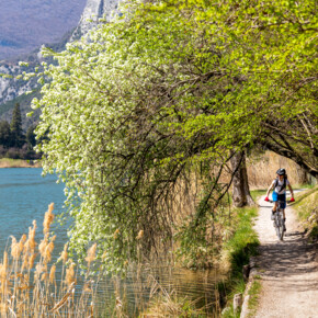 Die Bike-Hotels im Trentino