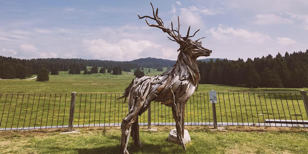 The Vaia Stag