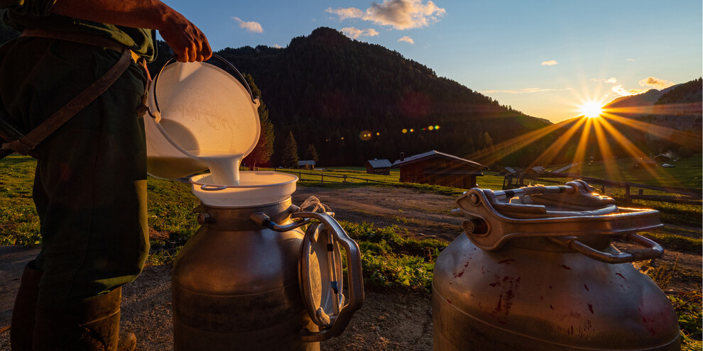 The Cooperative Dairy Plants of Trentino