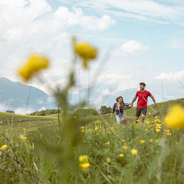 12 Gründe, warum Sie im Frühling ins Trentino reisen sollten