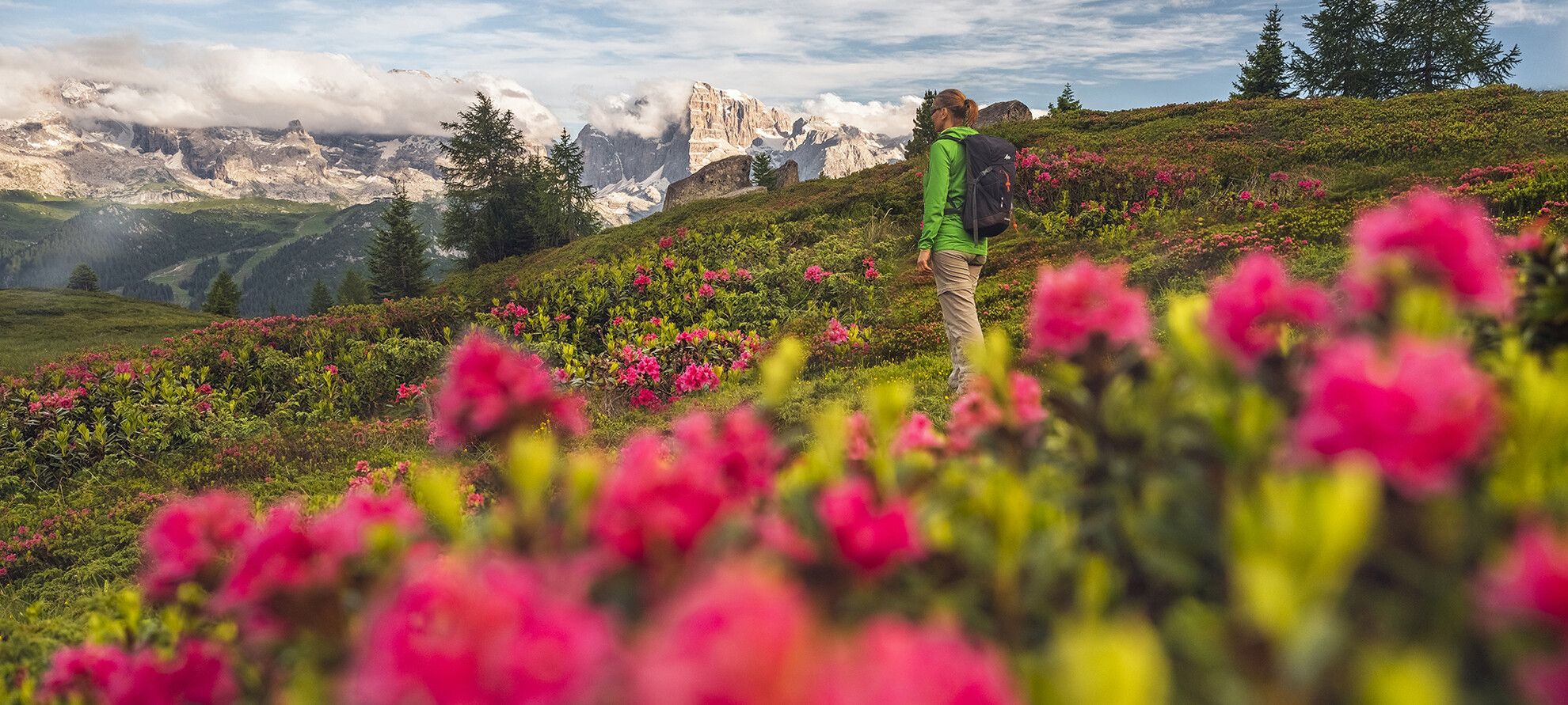 Promesse di bellezza