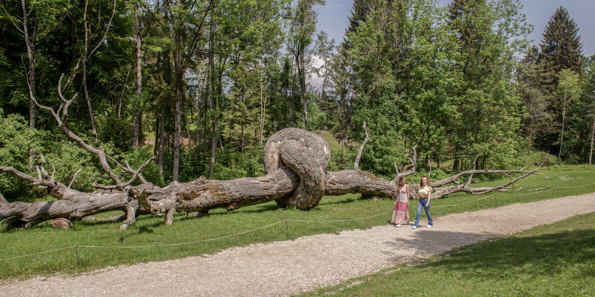 The modern and contemporary art museums of Trentino