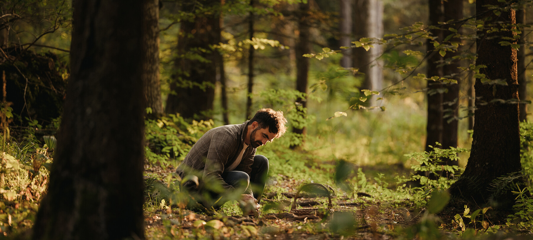 Foraging di primavera