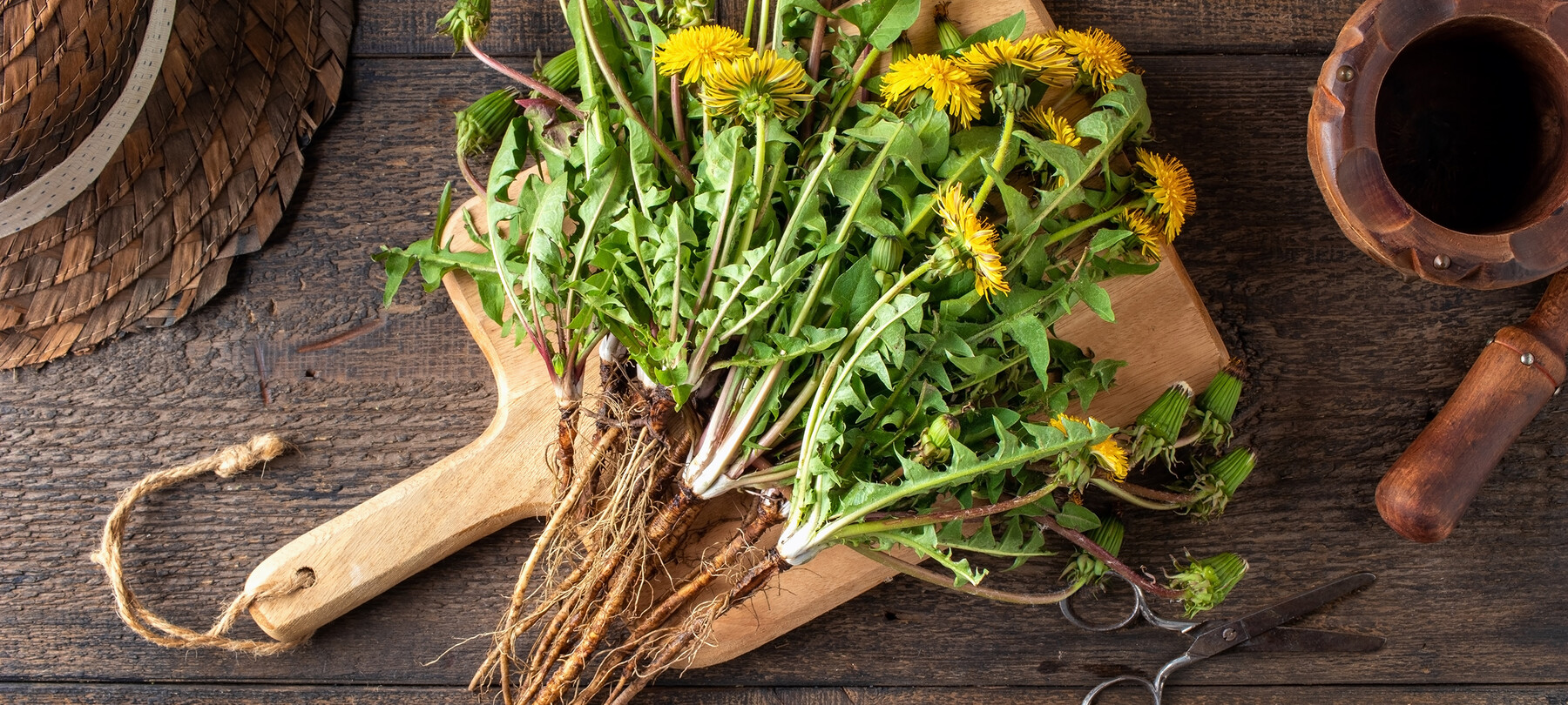 Foraging di primavera