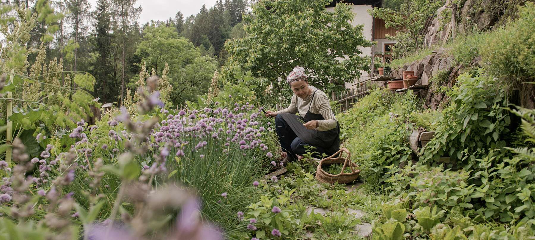 Foraging di primavera