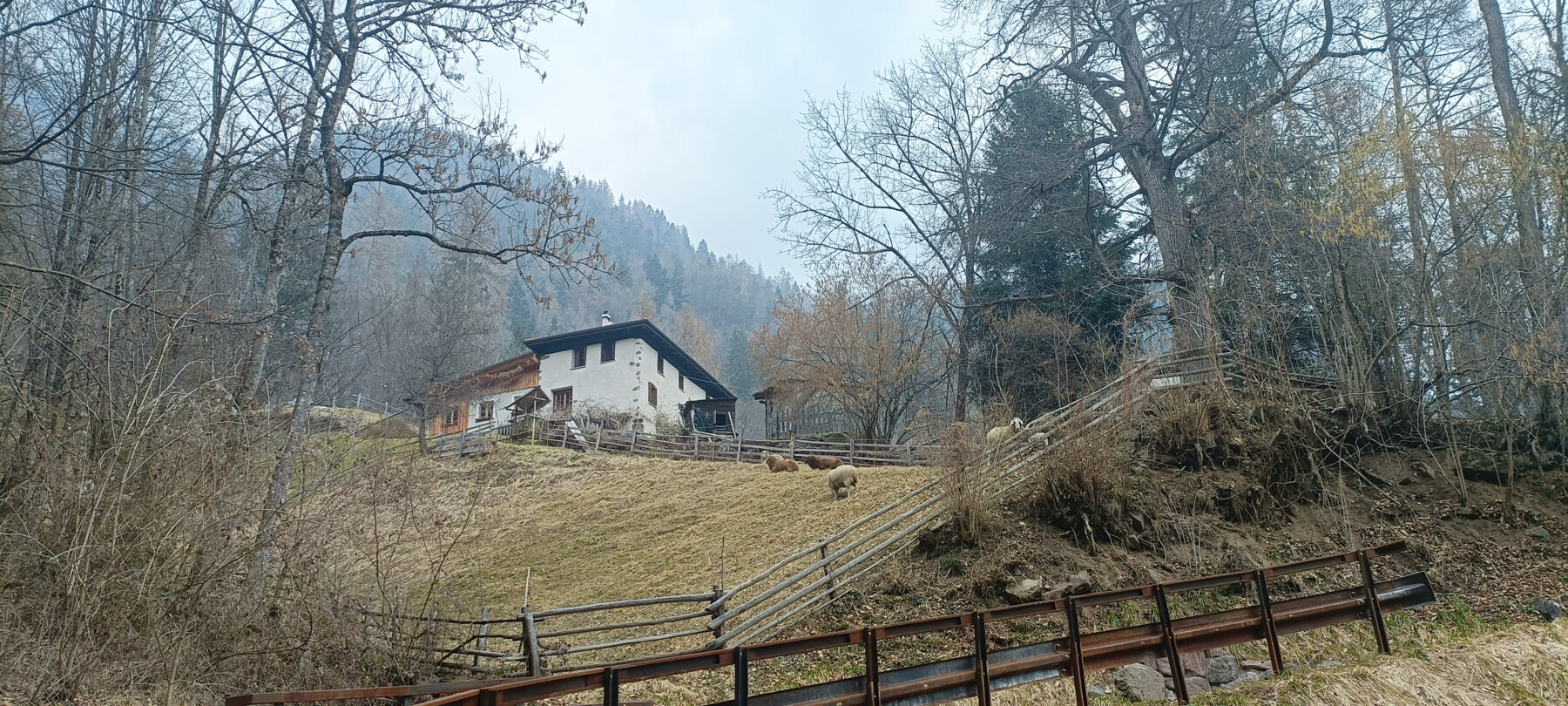 Mas del Saro | © Archivio Trentino Mktg