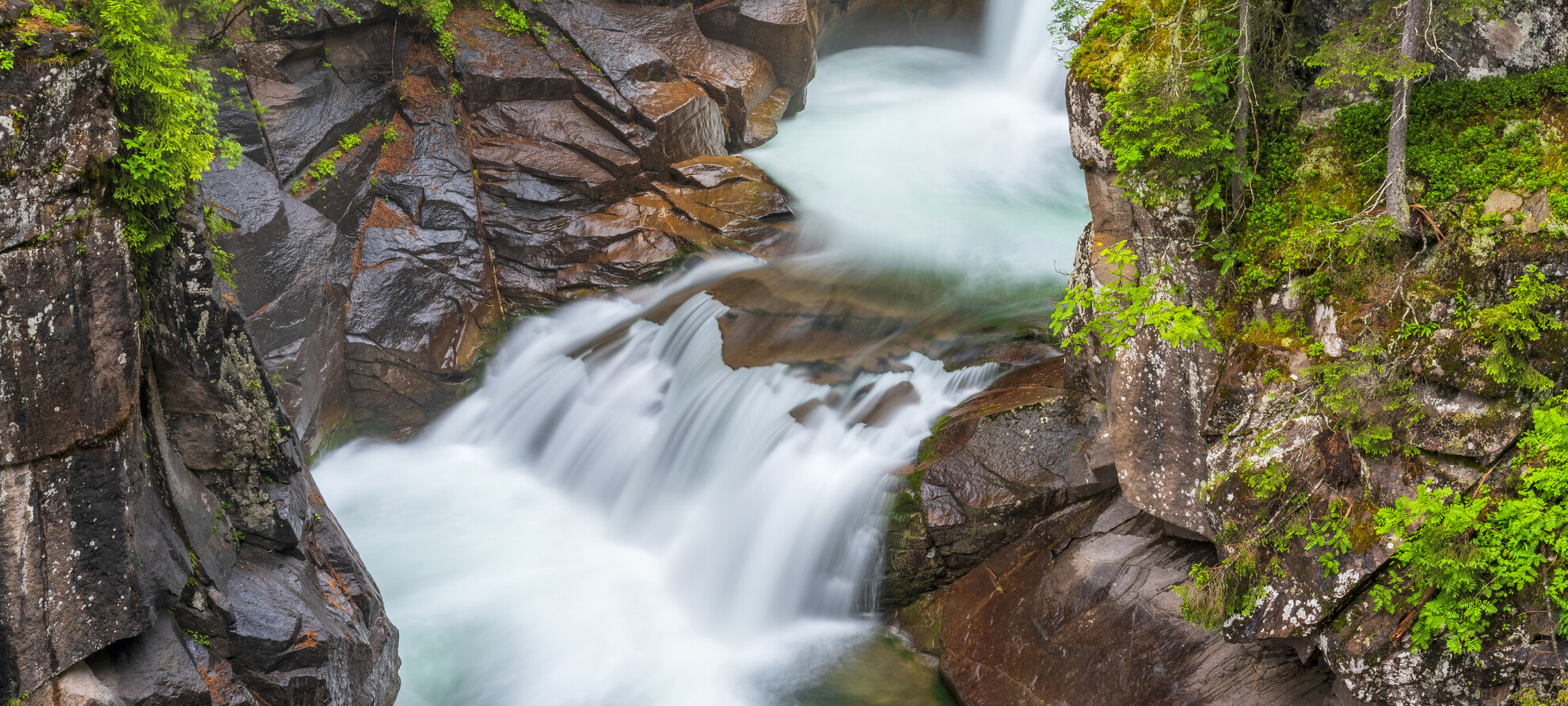 Passione e territorio