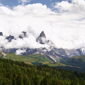 Val di Fiemme - Malga Canvere - Gruppo Viezzena Bocche - 23 agosto 2021 - Panorama sulle Pale di San Martino | © Andrea Polla