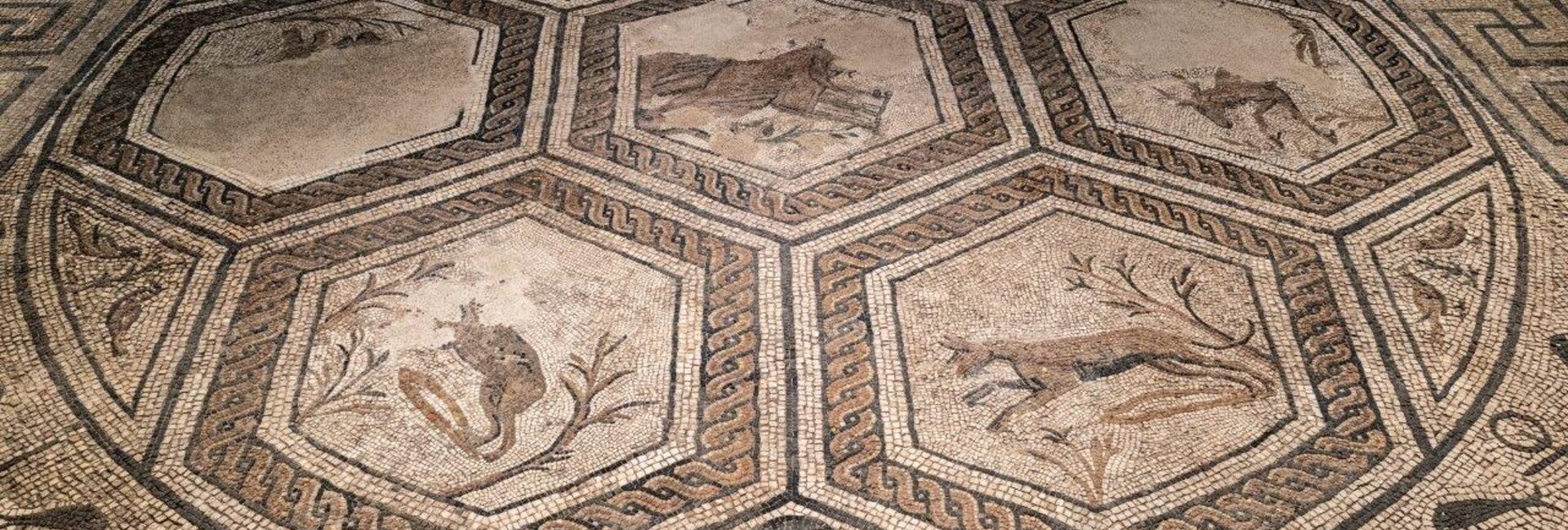 Villa Romana di Orfeo
