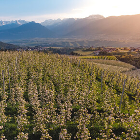 Val di Non | © Paolo Crocetta