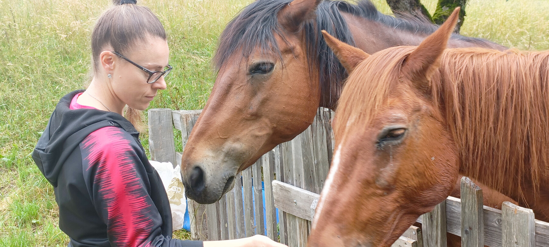 Latte Ledro, een ervaring in Trentino 