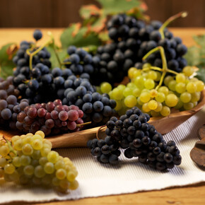  Trauben- und Weinfeste