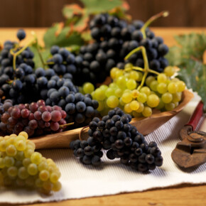  Le feste dell’uva e del vino