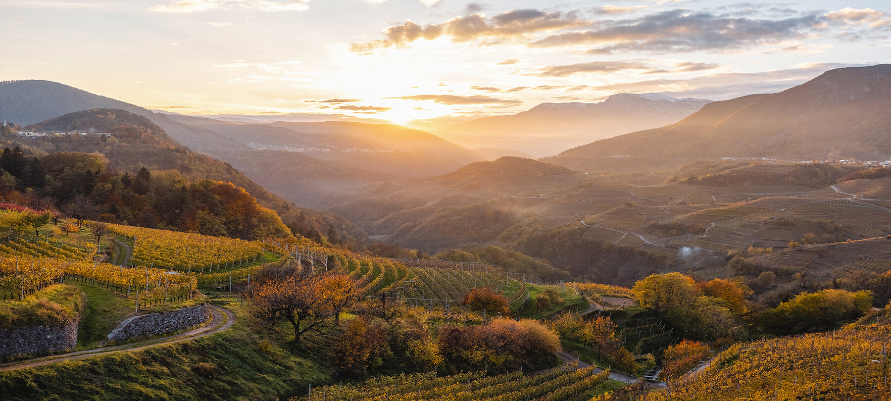 Weinfestival Dolo-Vini-Miti
