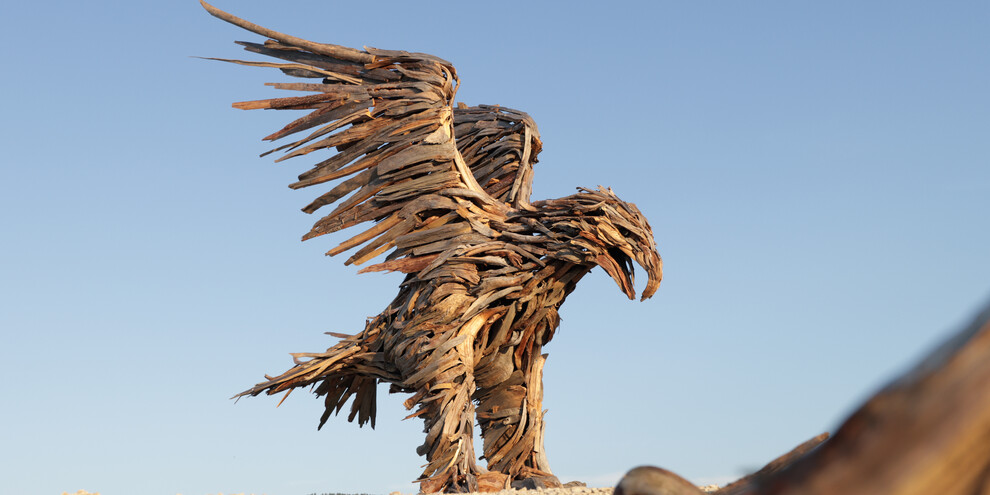 Aquila di Marcesina - Valsugana | © Sebastiano Montibeller