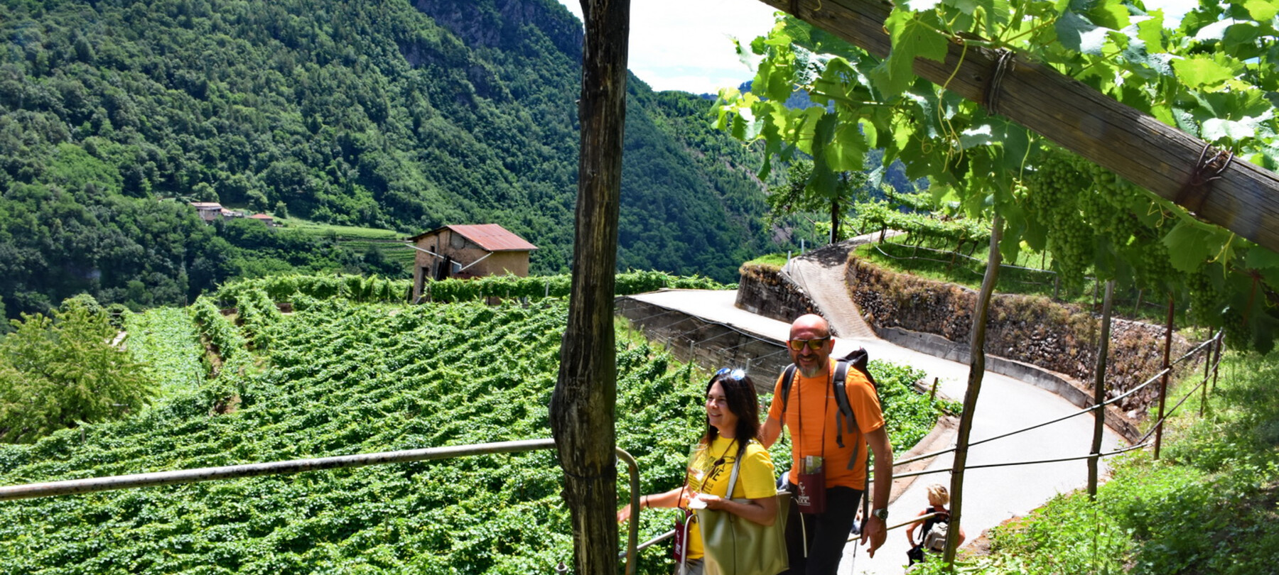 Weinfestival Dolo-Vini-Miti