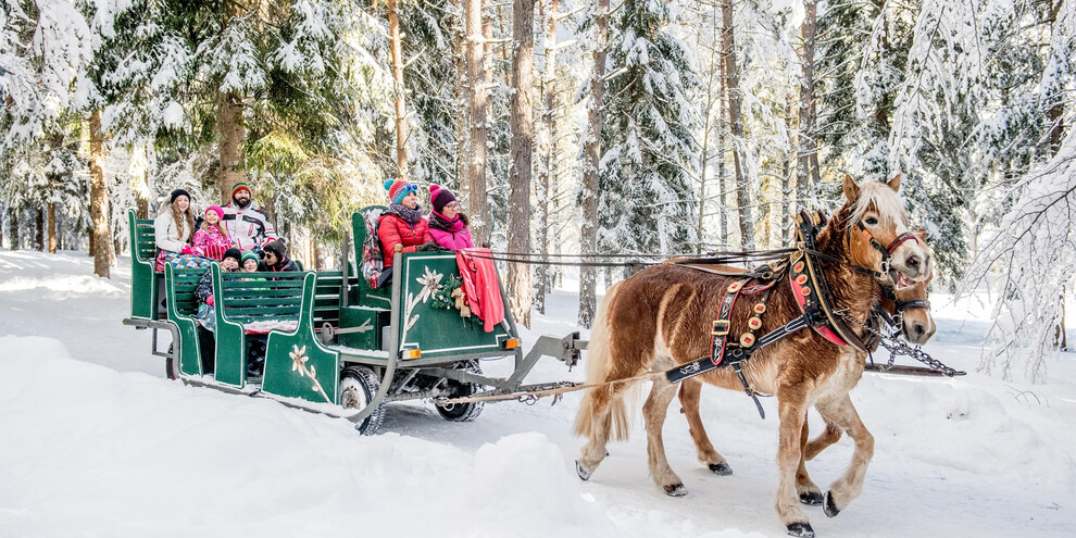 SlittaCavalli_inverno_Paganella_DeStefano | © SlittaCavalli_inverno_Paganella_DeStefano