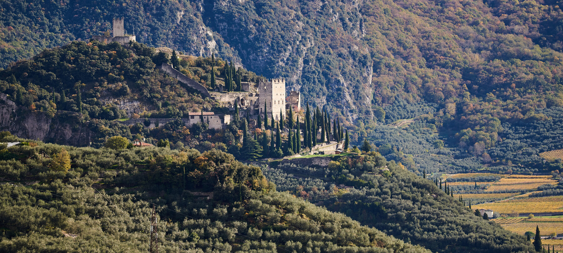 Olivaie Arco | © Archivio Trentino Mktg