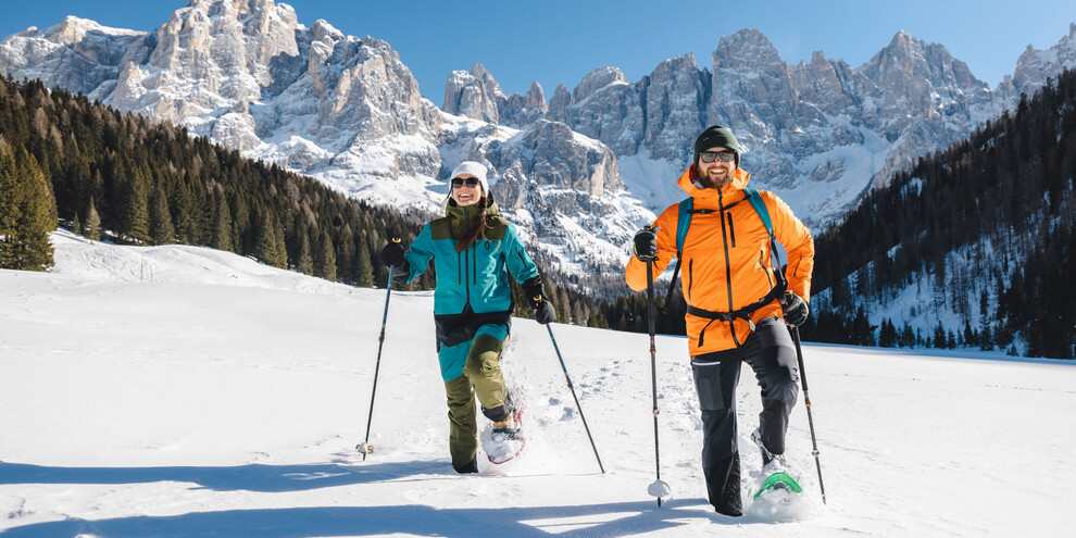 Sneeuwschoenwandelen en wandelen in het park