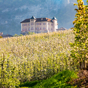 Средневековое очарование