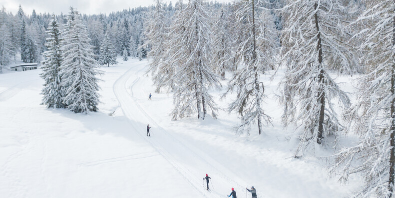 Centro Fondo Regole di Malosco #2 | © APT Val di Non - Paolo Crocetta