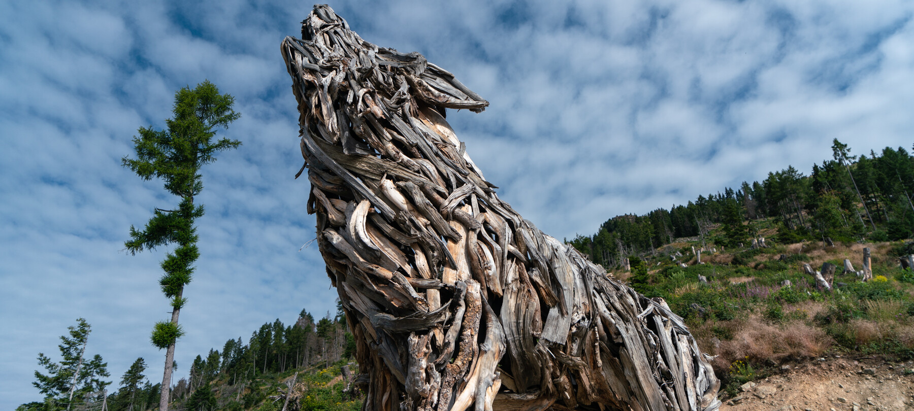 Valsugana und Lagorai: Der sechste Abschnitt des Friedensweges