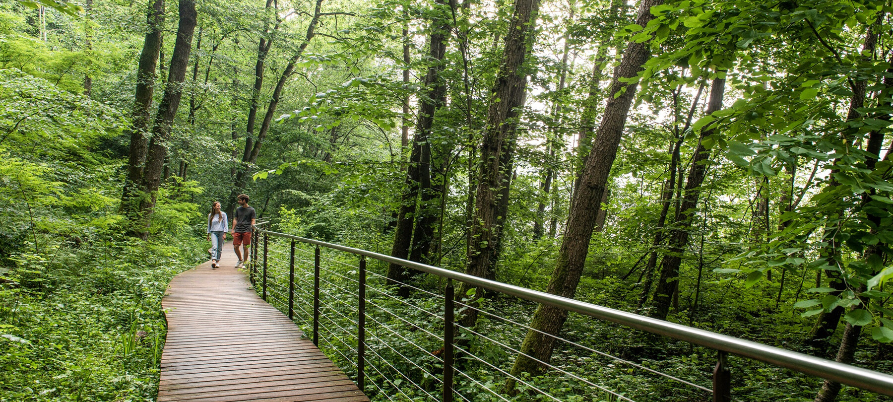 Valsugana und Lagorai: Der sechste Abschnitt des Friedensweges