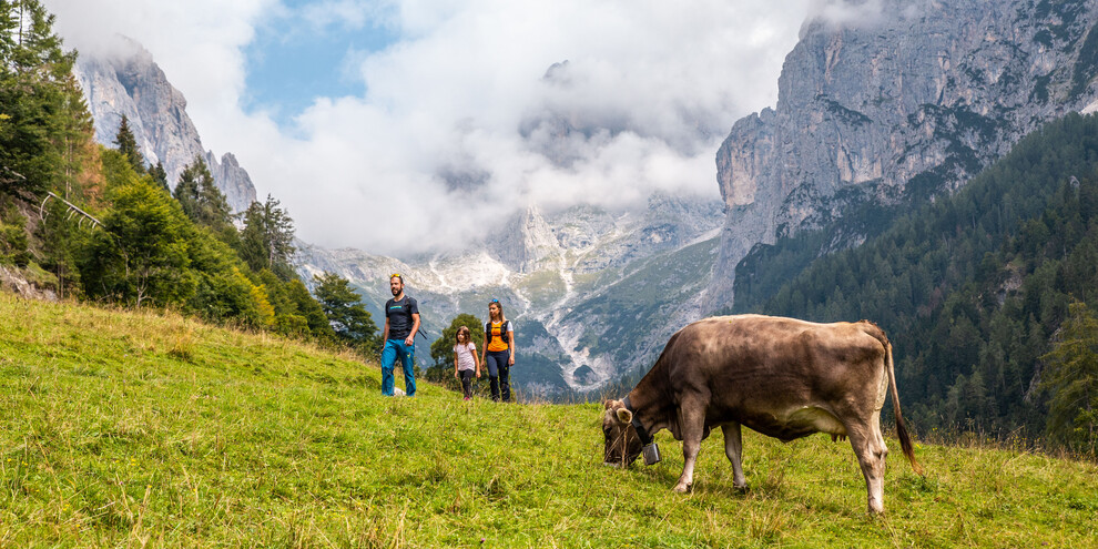 Frühling im Val Canali