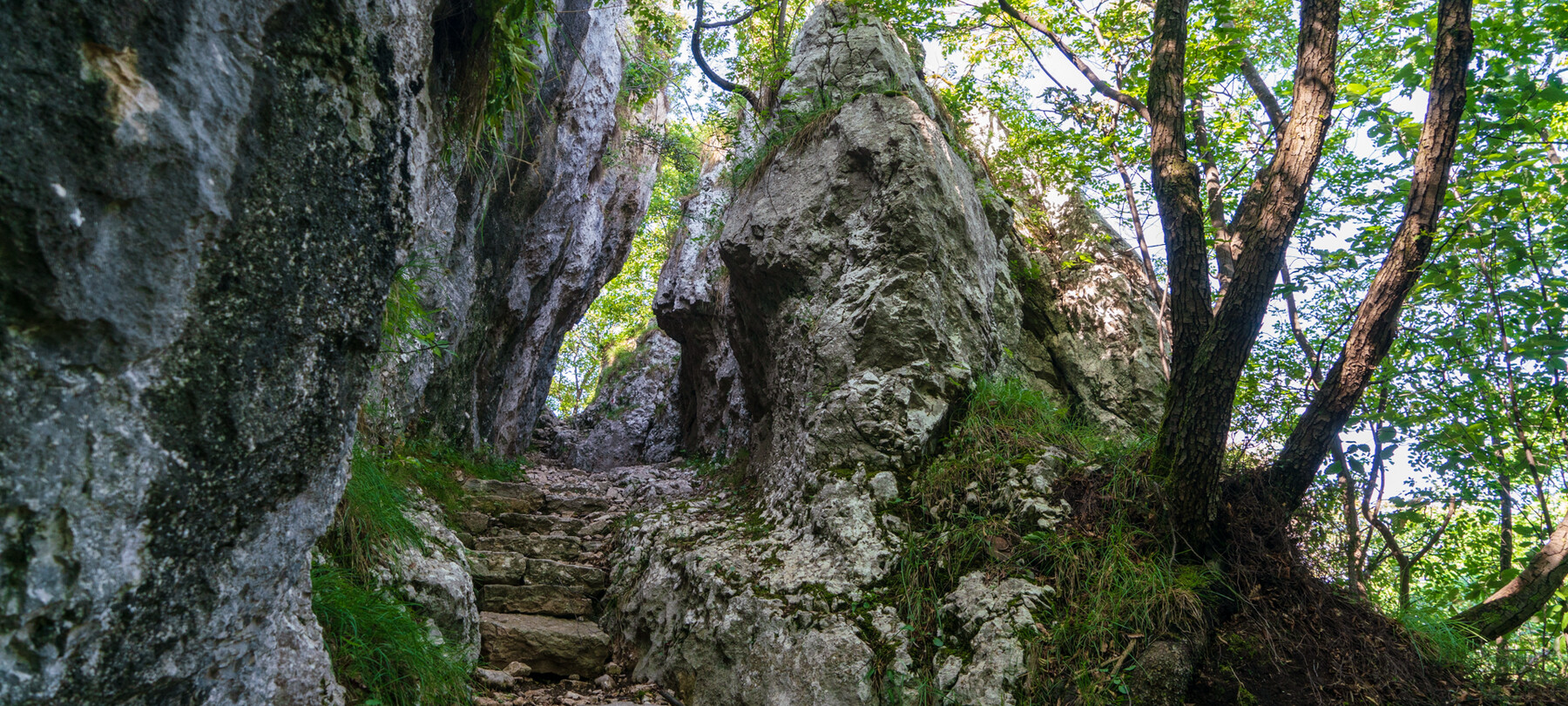 Sentiero della Pace: tratta 3 | Valle di Ledro e Alto Garda