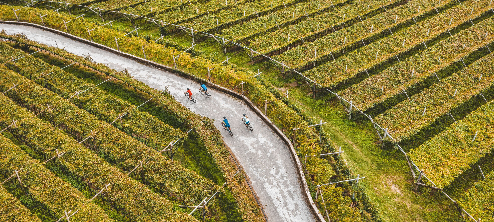 Dolomiti Paganella - Piana Rotaliana - Gravel - Bike - Cicloturismo in mezzo ai vigneti | © Mathäus Gartner
